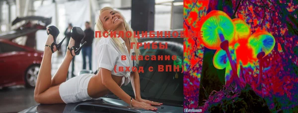 прущая мука Алзамай