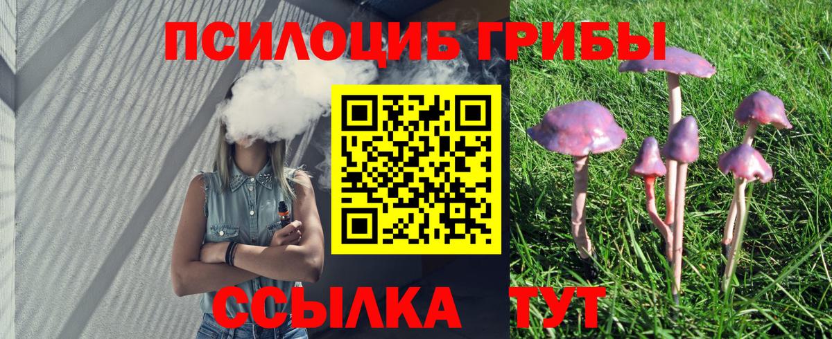 Псилоцибиновые грибы ЛСД Тула